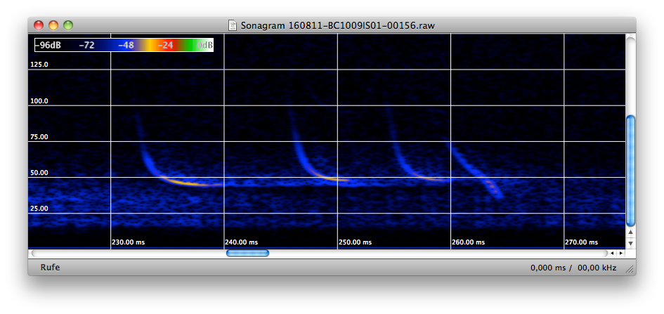 Sonagramm einer Fledermaus